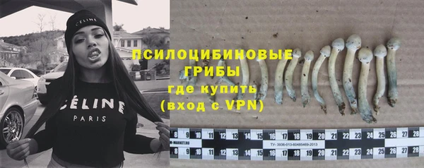 стафф Абаза