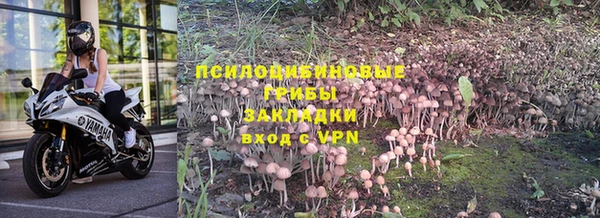 стафф Абаза